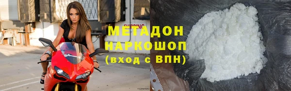 прущие грибы Абаза