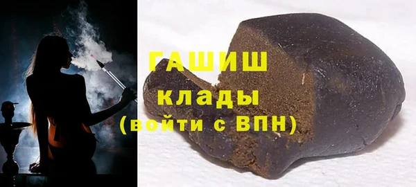 прущие грибы Абаза