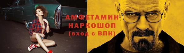 прущие грибы Абаза