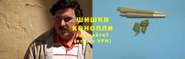 прущие грибы Абаза